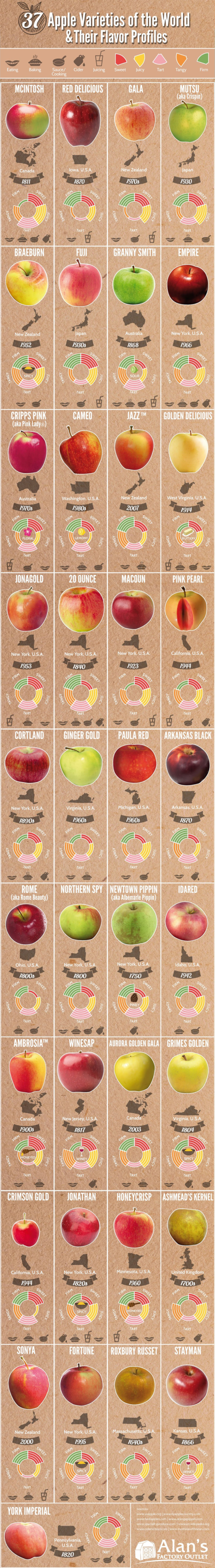 37 Apple Varieties from Around the World
